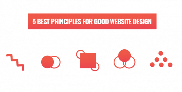 5 principles of web design